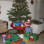 051231-2ndChristmas03-Tree