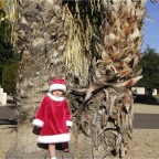 060101-2ndChristmas18-RCWithPalmTrees