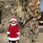 060101-2ndChristmas19-RCWithPalmTrees2