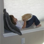 060109-Home3-RCWithTortilla