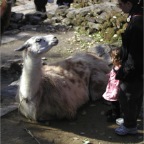 051224-NagasakiBioPark02-RCM