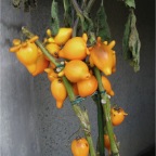 051224-NagasakiBioPark04