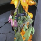 051224-NagasakiBioPark05