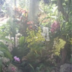 051224-NagasakiBioPark07-OhThat