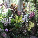 051224-NagasakiBioPark08-MuchBetter