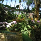 051224-NagasakiBioPark09