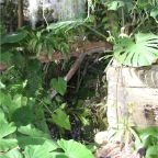 051224-NagasakiBioPark10