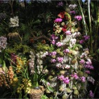 051224-NagasakiBioPark12