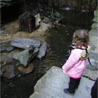 051224-NagasakiBioPark17-RCWatchingOtter