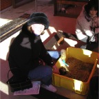 051224-NagasakiBioPark24-AmberVisitsGuineaPigs