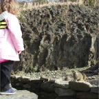 051224-NagasakiBioPark29-WhosWatchingWhom