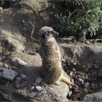 051224-NagasakiBioPark30