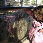 051224-NagasakiBioPark31-RCFeedingRacoons