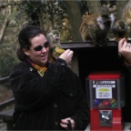 051224-NagasakiBioPark40-MSpiderMonkey4