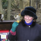 051224-NagasakiBioPark42-AmberSpiderMonkey6