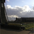 051225-HuisTenBosch03