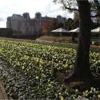 051225-HuisTenBosch04