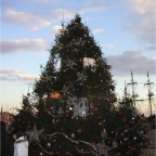 051225-HuisTenBosch18-CompoundTree