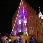 051225-HuisTenBosch25