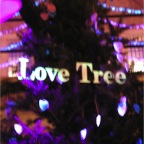 051225-HuisTenBosch26-LoveTree
