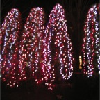 051225-HuisTenBosch34