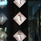051106-PenguinAquarium07