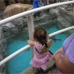 051106-PenguinAquarium14