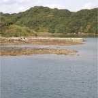 051119-99IslandCruise07