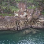 051119-99IslandCruise19