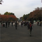 051125-Tokyo14-TokyoZoo01