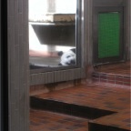 051125-Tokyo15-TokyoZoo02