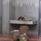 051125-Tokyo16-TokyoZoo03