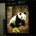 051125-Tokyo17-TokyoZoo04