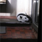 051125-Tokyo18-TokyoZoo05