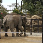 051125-Tokyo19-TokyoZoo06