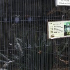 051125-Tokyo22-TokyoZoo09