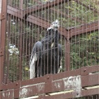 051125-Tokyo26-TokyoZoo13