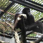 051125-Tokyo27-TokyoZoo14