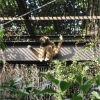 051125-Tokyo29-TokyoZoo16