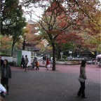 051125-Tokyo33-TokyoZoo20