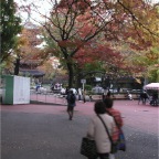 051125-Tokyo34-TokyoZoo21