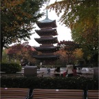 051125-Tokyo35-TokyoZoo22