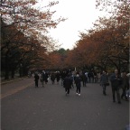 051125-Tokyo37-TokyoZoo24
