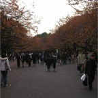 051125-Tokyo38-TokyoZoo25