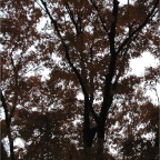 051125-Tokyo41-TokyoZoo28