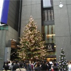 051125-Tokyo42-Mikimoto1