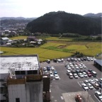 051003-EasternRiceFields1