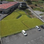 051003-SouthernRiceFields