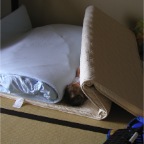 051004-RC-FutonPlay2