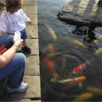 051015-Glover04-RCM-Fish